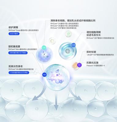 重組膠原蛋白賽道的創(chuàng)新解題思路 對話迪諾薇華孫璞談細胞技術(shù)研發(fā)與應用